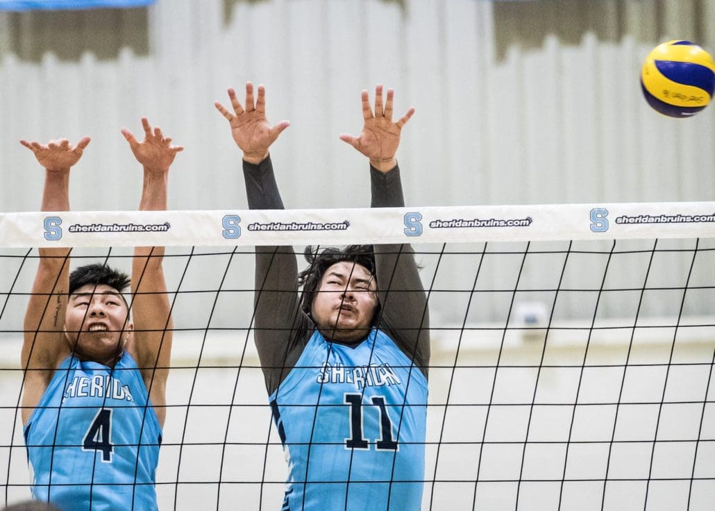 OAKVILLE, ON – Jan. 22, 2017: Eric Chien and Kevin Lam of the Sheridan Bruins reach for a block in OCAA action against College Boreal.?