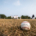U10 Burlington Bulls in BOMBA Baseball action on August 6, 2025 at Nelson Park in Burlington