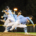 Ontario Colleges Athletic Association baseball action between the Durham Lords and Sheridan Bruins on September 30, 2025 at Quenippenon Meadows Community Park
