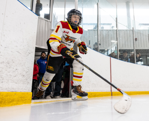 Ontario Minor Hockey Association championship action on March 29, 2026 at Sixteen Mile Sports Complex in Oakville